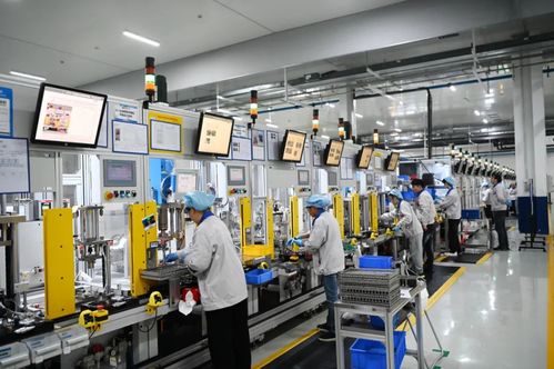 不老松 泰州姜堰創新全生命周期產品，推動產業大樹匯聚成林